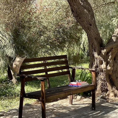 Country house Cortijo Olivos De *