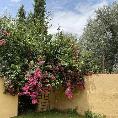 Cortijo Olivos De Country house *