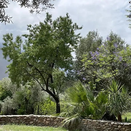 Cortijo Olivos De Country house *