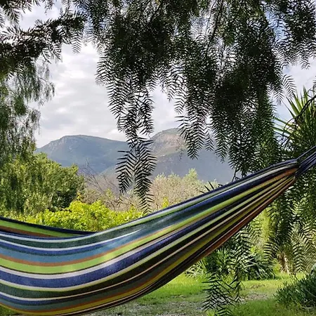 Country house Cortijo Olivos De *
